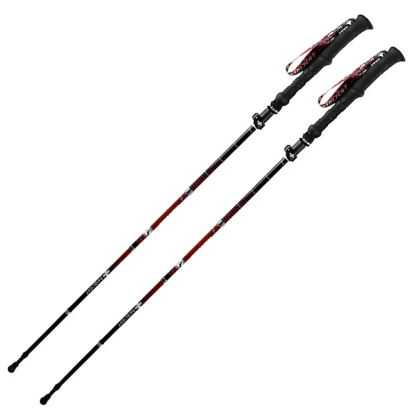 RAIDLIGHT BASTON AVATARA HYBRID