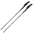 RAIDLIGHT Baston avatara hybrid